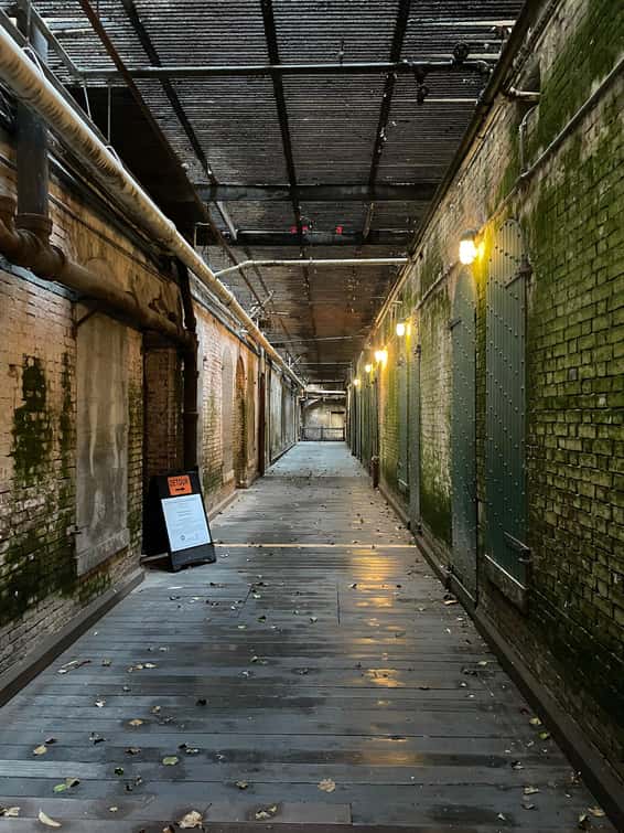 アルカトラズ島ツアー画像2