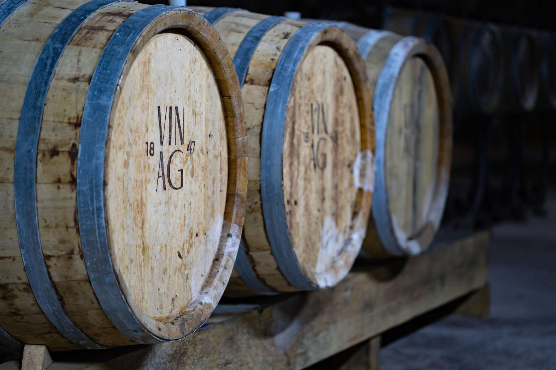 Vinag Wine Cellar Guided Tour with Tasting & Snacks - Image 3