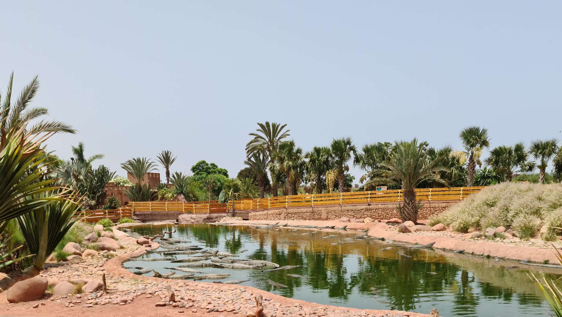 Crocoparc Agadir visit with gardens and reptiles