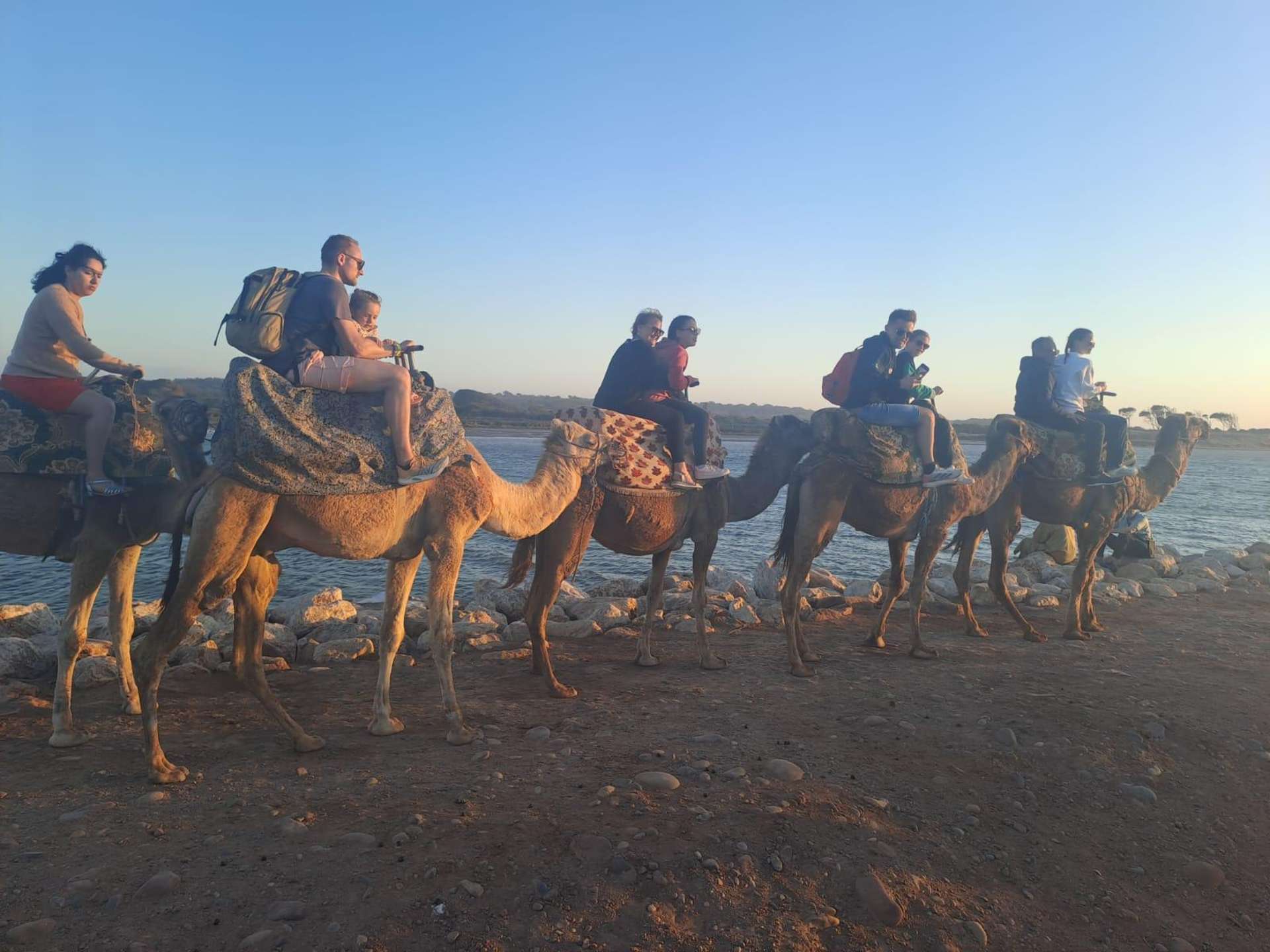 Camel ride at sunset near the coast