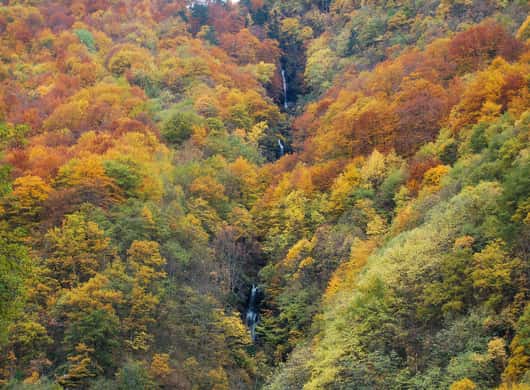 Rila Klooster fresco's