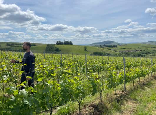 Châteauneuf-du-Pape