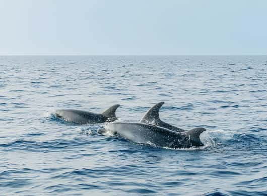 Rotsen en baai bij het Duivelszadel in Cagliari