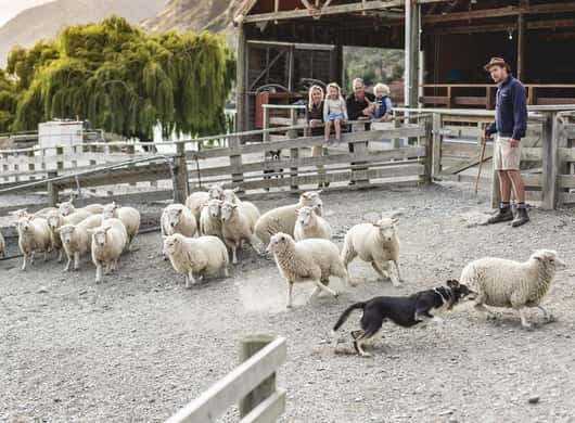 Walter Peak boerderij