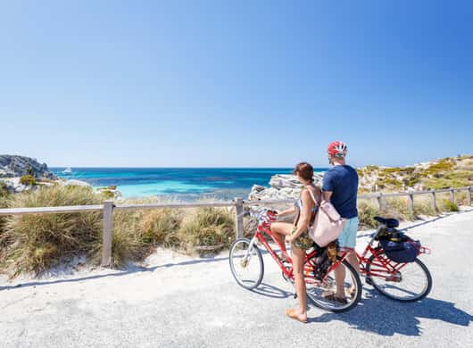 Quokka Rottnest Island