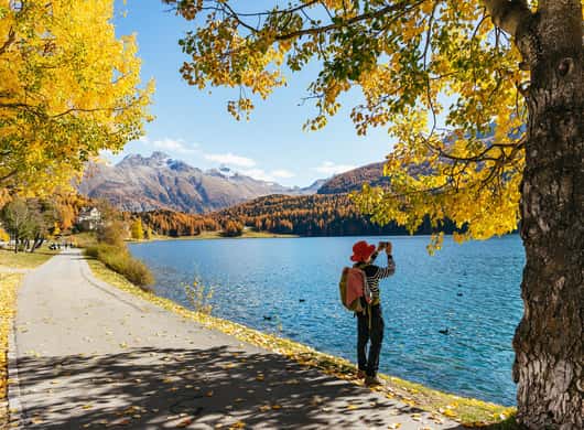 Uitzicht uit de Bernina Express op bergen en sneeuw