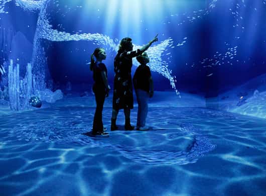 Digitale kunst ervaring