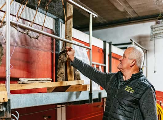 Golden Stones dorpje