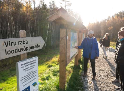 Viru Bog boardwalk Lahemaa