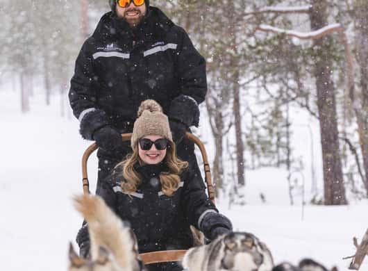 Sledehonden noorderlicht