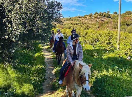 Uitzicht op het Siciliaanse platteland tijdens een paardrijtocht