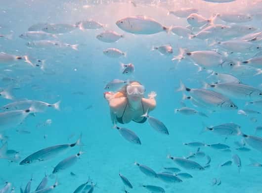 Snorkelen Zadar eilanden