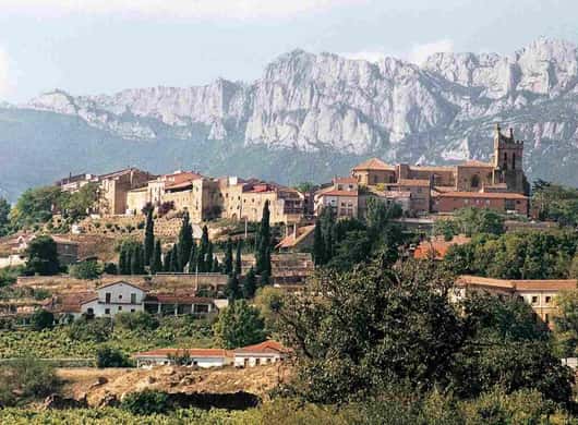Wijnkelder met eiken vaten in La Rioja