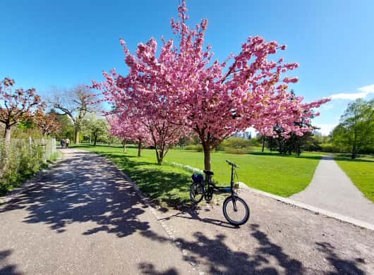 Ljubljana groene stad