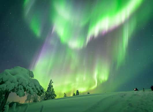 Sneeuwscooter safari Lapland