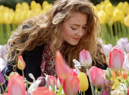 Tulpenvelden Holland