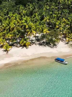 Bocas del Toro: Monkey Island and Cayo Coral Boat Tour | GetYourGuide