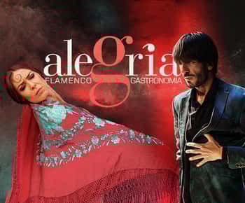 Málaga: Espectáculo Flamenco en Directo en Flamenco Alegría