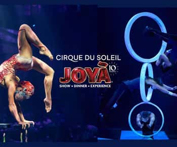 Cancún: Cirque du Soleil JOYÀ Show Ticket