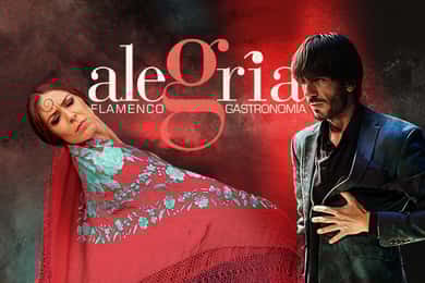 Málaga: Live Flamenco Show bij Flamenco Alegría