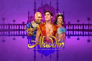 Ciudad de Nueva York Aladdin en Broadway Ticket de entrada