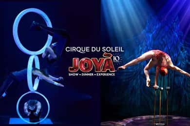 Cancún: Cirque du Soleil JOYÀ Entry Ticket and Transfer