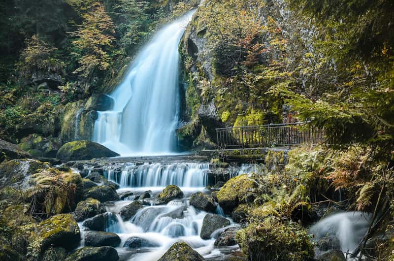 Black Forest Open Air Museum, Gutach - Book Tickets & Tours