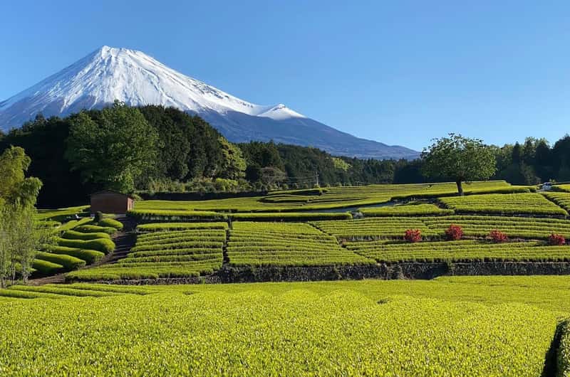 大石公園 チケット＆ツアー | ゲットユアガイド | GetYourGuide