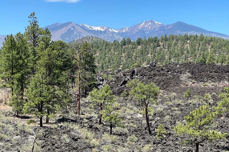 アリゾナ州のネイティブアメリカンの遺跡 チケット＆ツアー | ゲット
