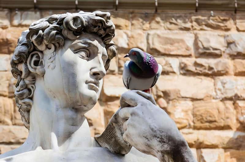 ミケランジェロのダビデ像 チケット＆ツアー | ゲットユアガイド