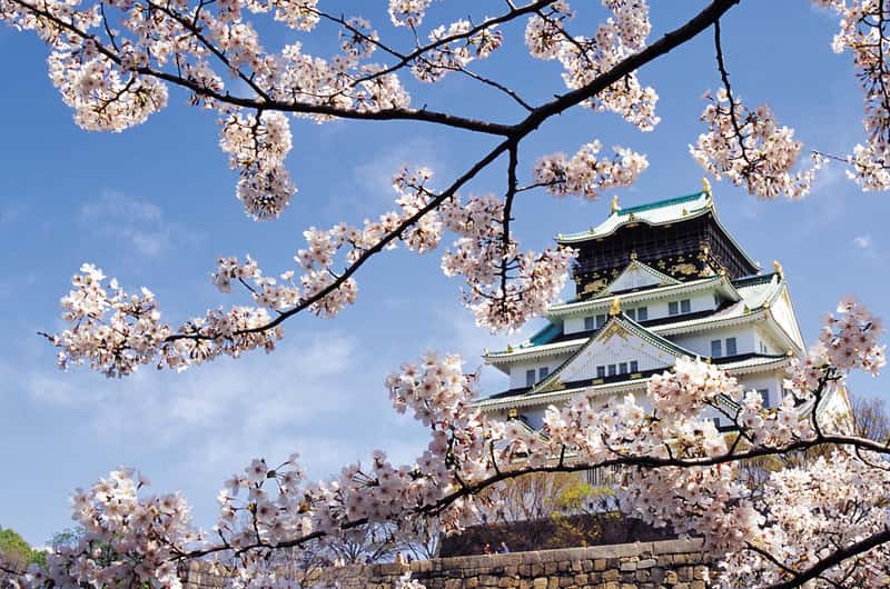大阪市：2026年最新のおすすめ観光スポット＆見どころ | GetYourGuide