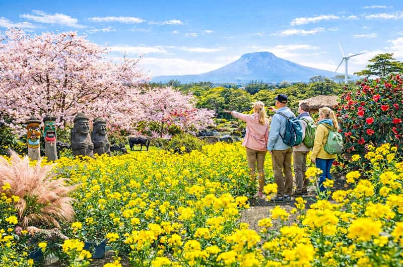Jeju International Airport, Jeju-si - Book Tickets & Tours