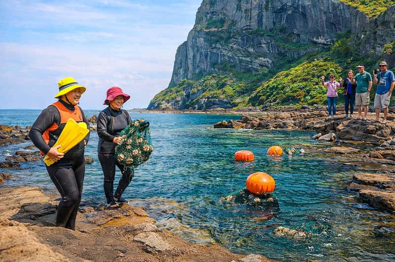 Jeju International Airport, Jeju-si - Book Tickets & Tours