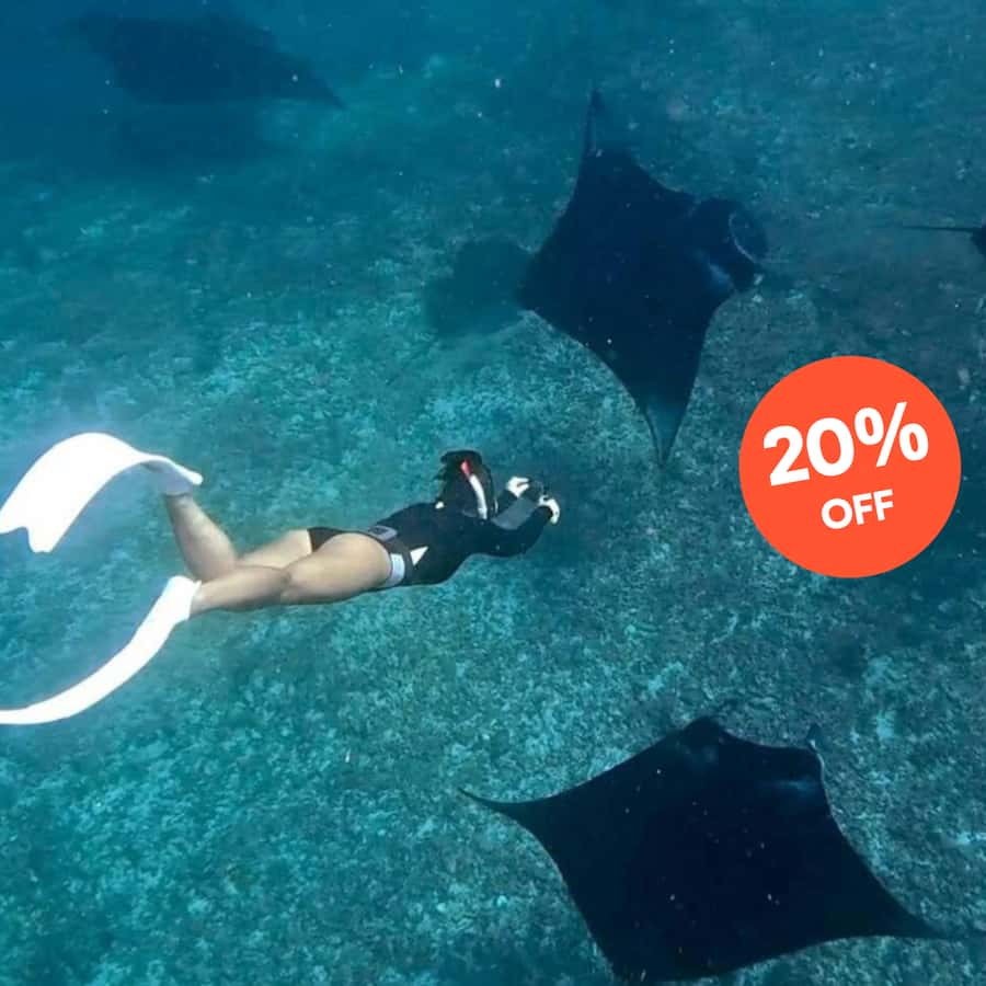 バリ発：ヌサペニダのマンタポイントでスノーケリング＆ランドツアーを