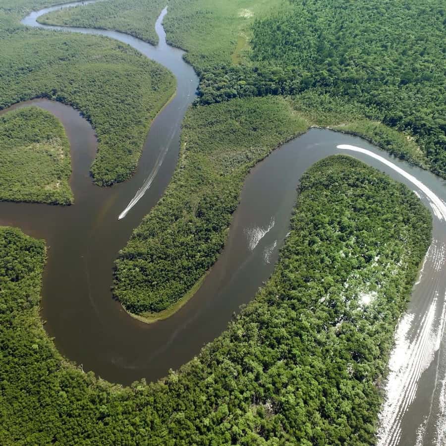 Von Iquitos aus: Amazonas 4 Tage 3 Nächte | GetYourGuide, image size:900x900