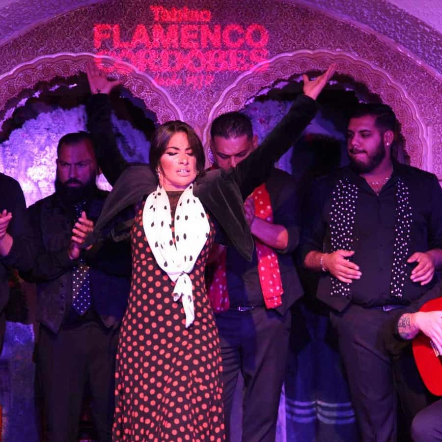 フラメンコ　コルドベス 楽天市場】コルドベス/スタンダードブラック 羊毛100％【フラメンコ