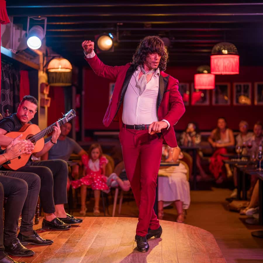 グラナダ：アルバイシンでのフラメンコショー - ジャーディンズ・デ