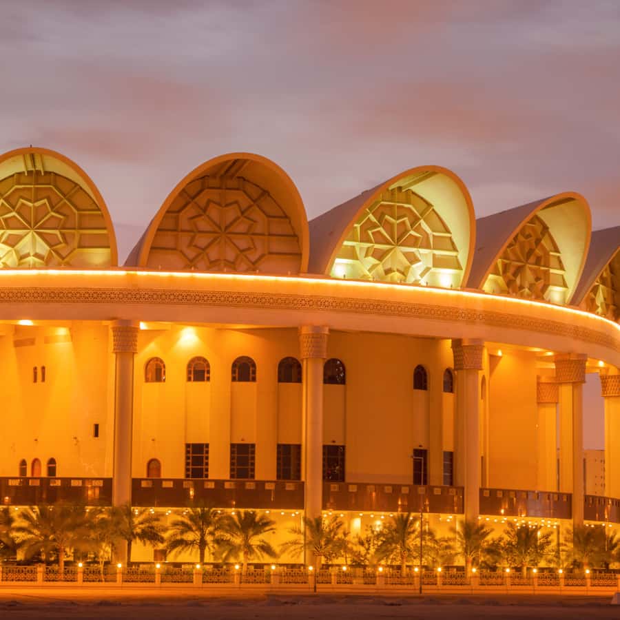 城市观光半日游，含博物馆和巴林湾参观| GetYourGuide