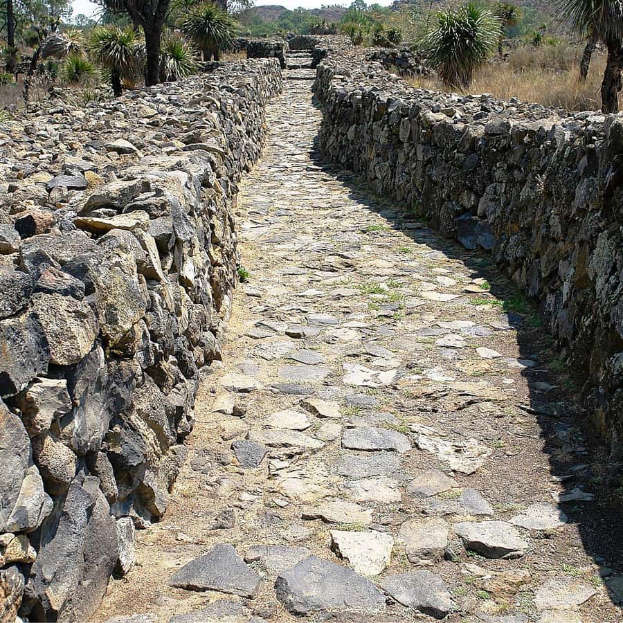 Puebla: el yacimiento arqueológico más grande de México y Cholula |  GetYourGuide, image size:900x900
