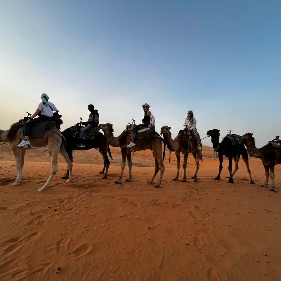 フェズ発：3日間2泊の砂漠ツアーでマラケシュへ | GetYourGuide