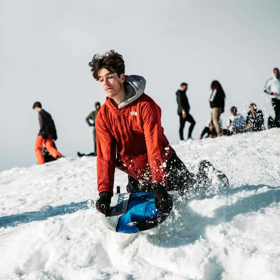 라스베이거스 겨울 모험: 찰스턴산 스노우 데이 | GetYourGuide, image size:900x900