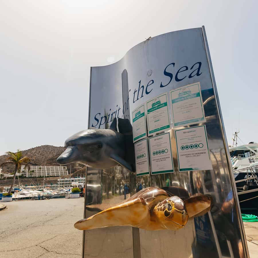 Team Hurricane (2017) - IMDb, image size:900x900