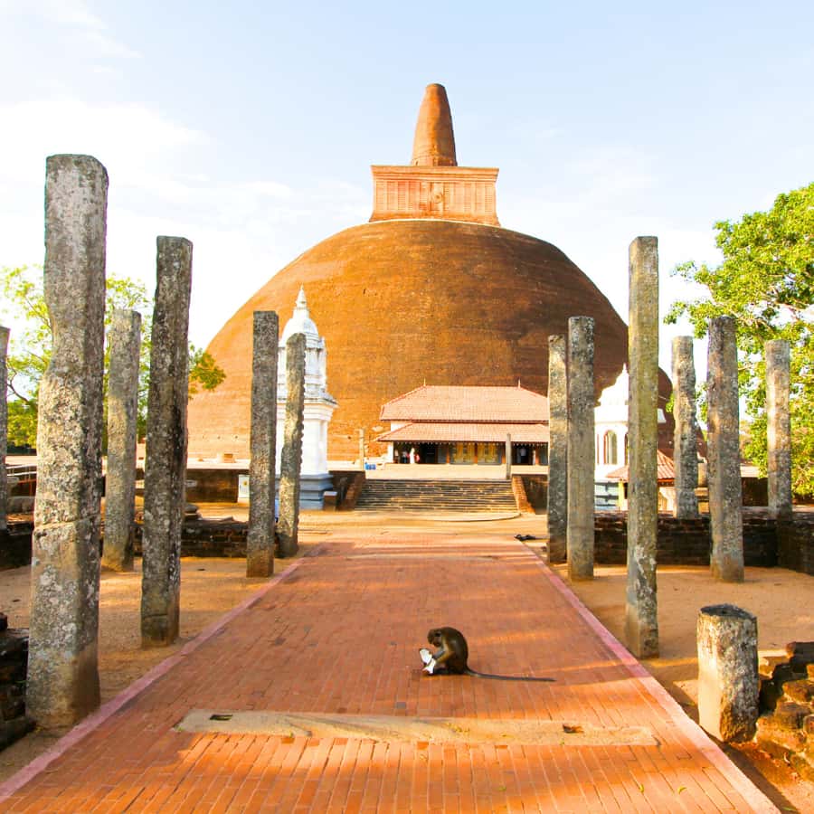 斯里兰卡：历史、野生动物、海滩，7 天私人之旅| GetYourGuide, image size:900x900