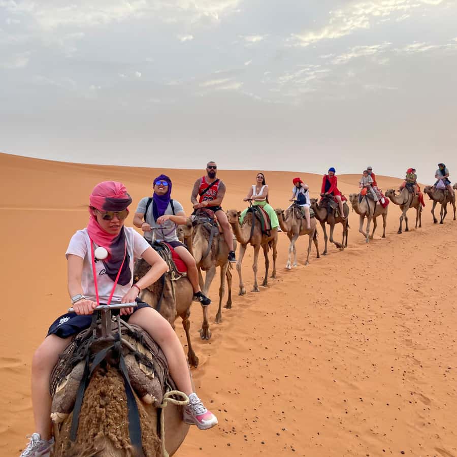 フェス発：2泊3日の砂漠ツアー（グループ） | GetYourGuide