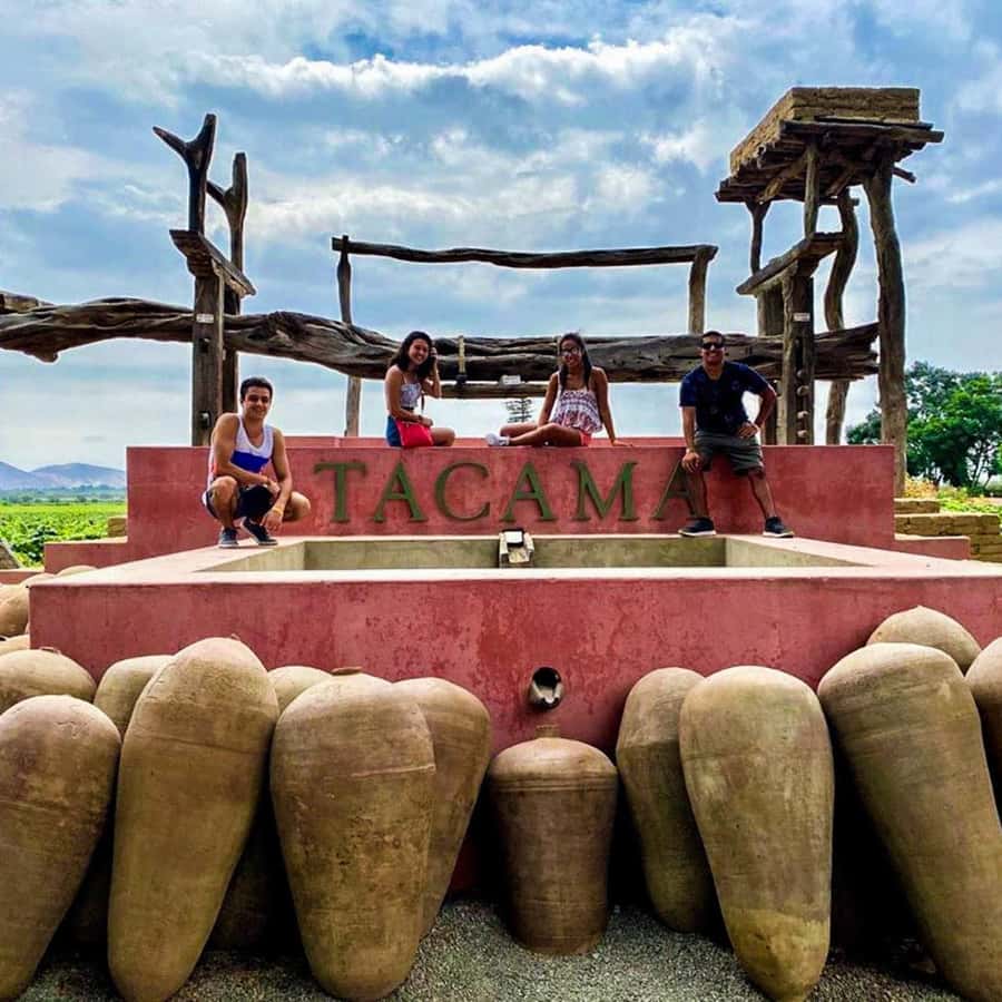 Ica: Pisco Route | Tacama, Arrabal, Bodega Lovera | | GetYourGuide, image size:900x900