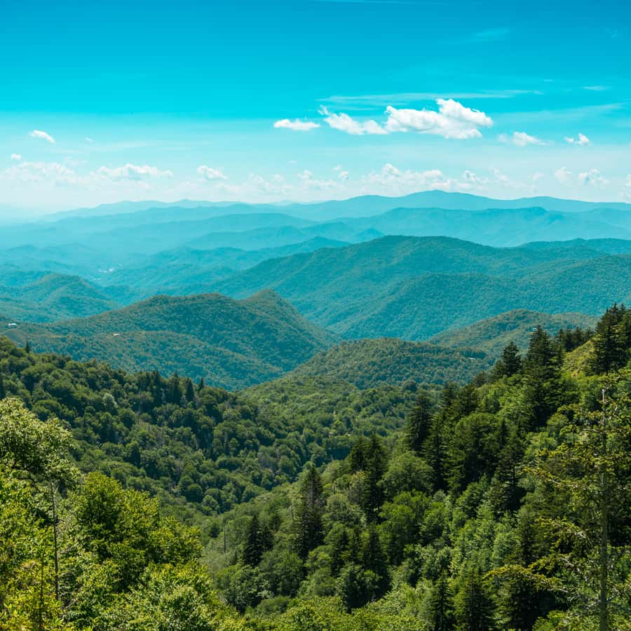 Pigeon Forge: Sights of the Smokies Guided Tour | GetYourGuide, image size:900x900