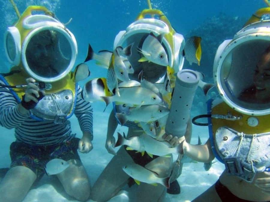 モーレア島：アクアブルーヘルメット水中ウォーキング体験 | GetYourGuide