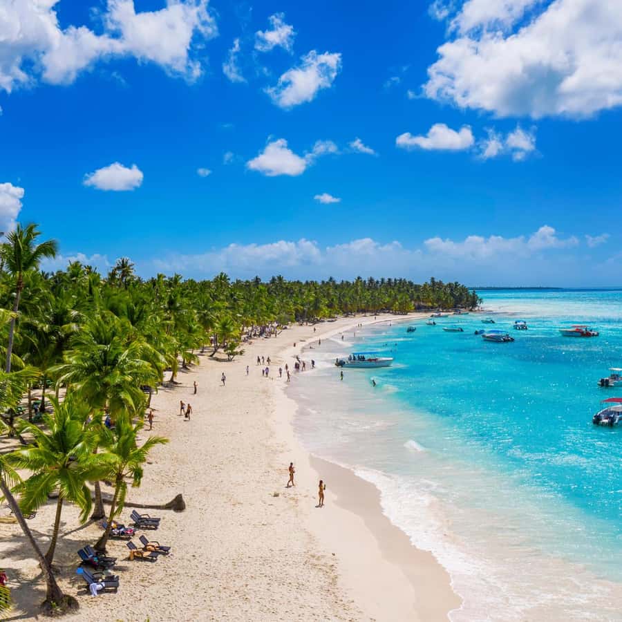 胡安多里奥：索纳岛一日游（双体船之旅） | GetYourGuide