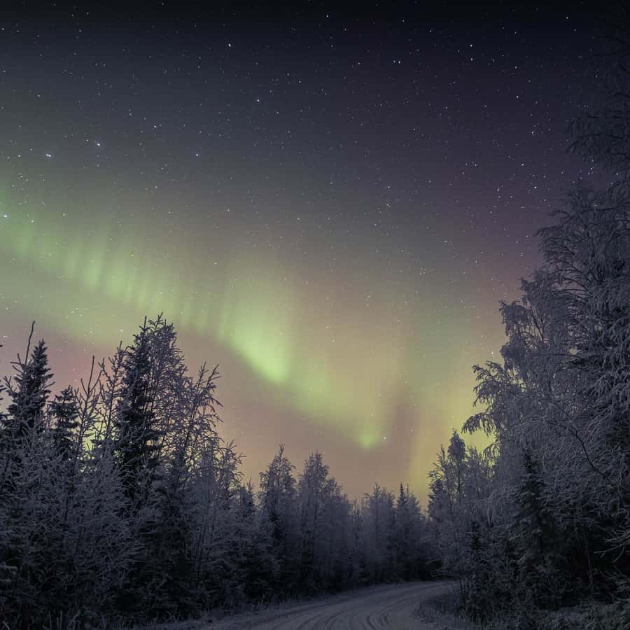 12~세계 무료 이미지・디자인・샘플・템플릿 - Canva(캔바) 페이지, image size:900x900