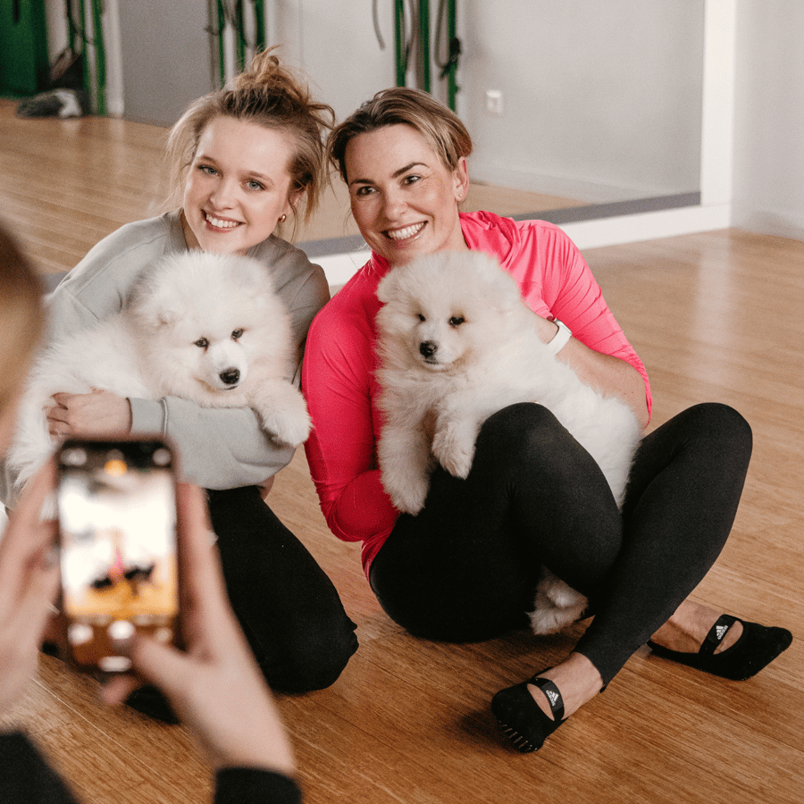 长得像泰迪熊的犬类大合辑你喜欢哪只？（上） | 贵宾犬| 萨摩耶犬| 纽芬兰犬| 大纪元, image size:900x900